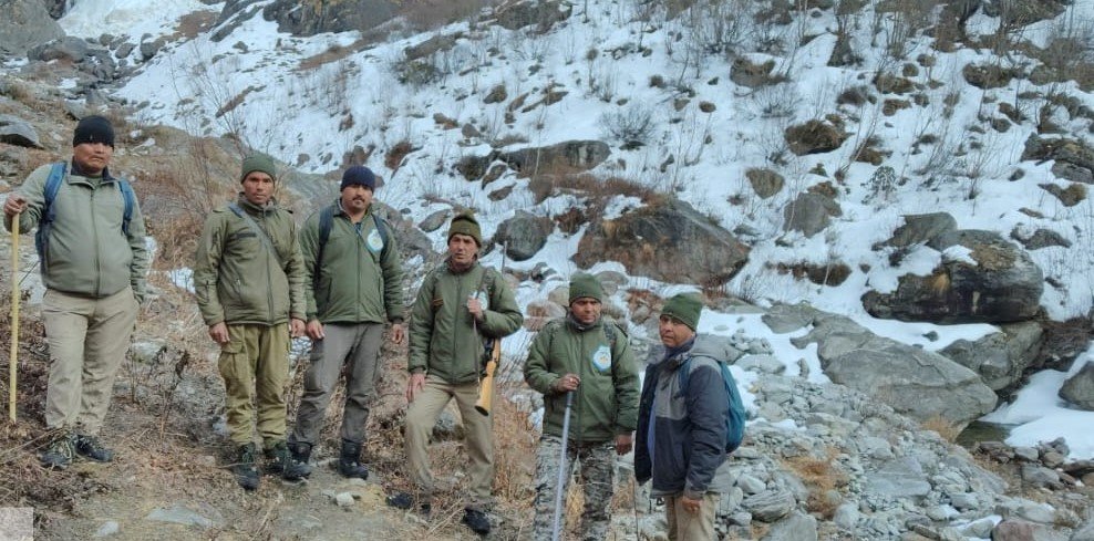 फूलों की घाटी में कैमरे में कैद हुए कस्तुरी मृग, स्नो लेपर्ड और मोनाल