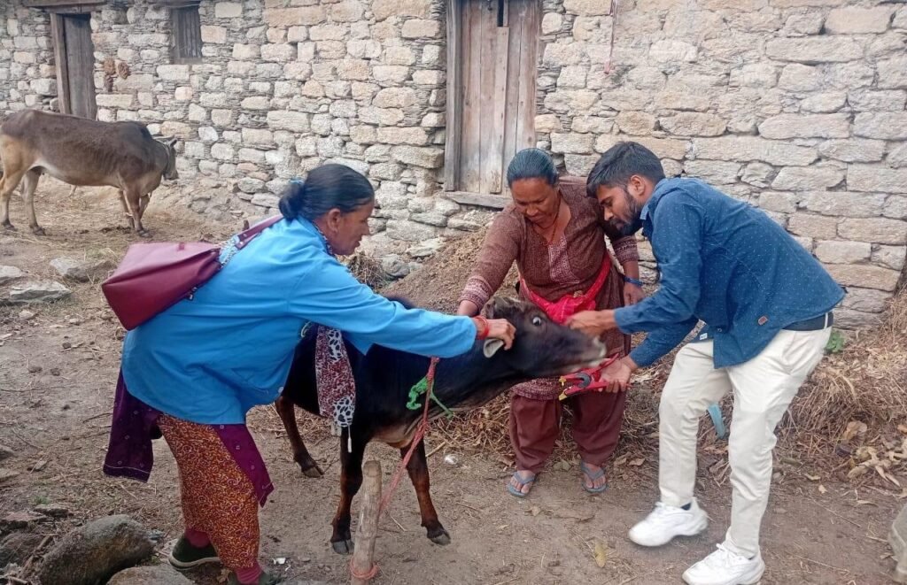 पशु सखी बनीं गांव की डॉक्टर दीदी, बदली ग्रामीण महिलाओं की तकदीर